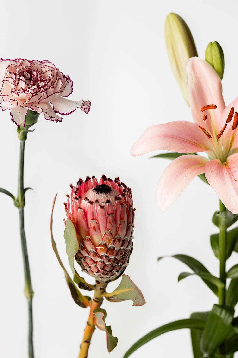 Abonnement Personalisierbar