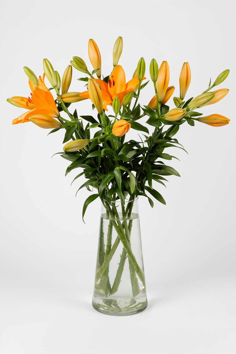 Lilien Orange