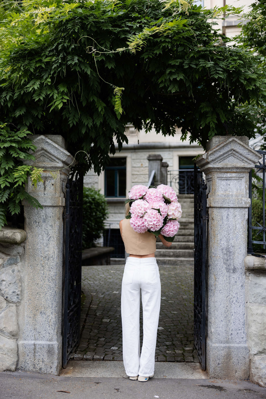Hortensias roses