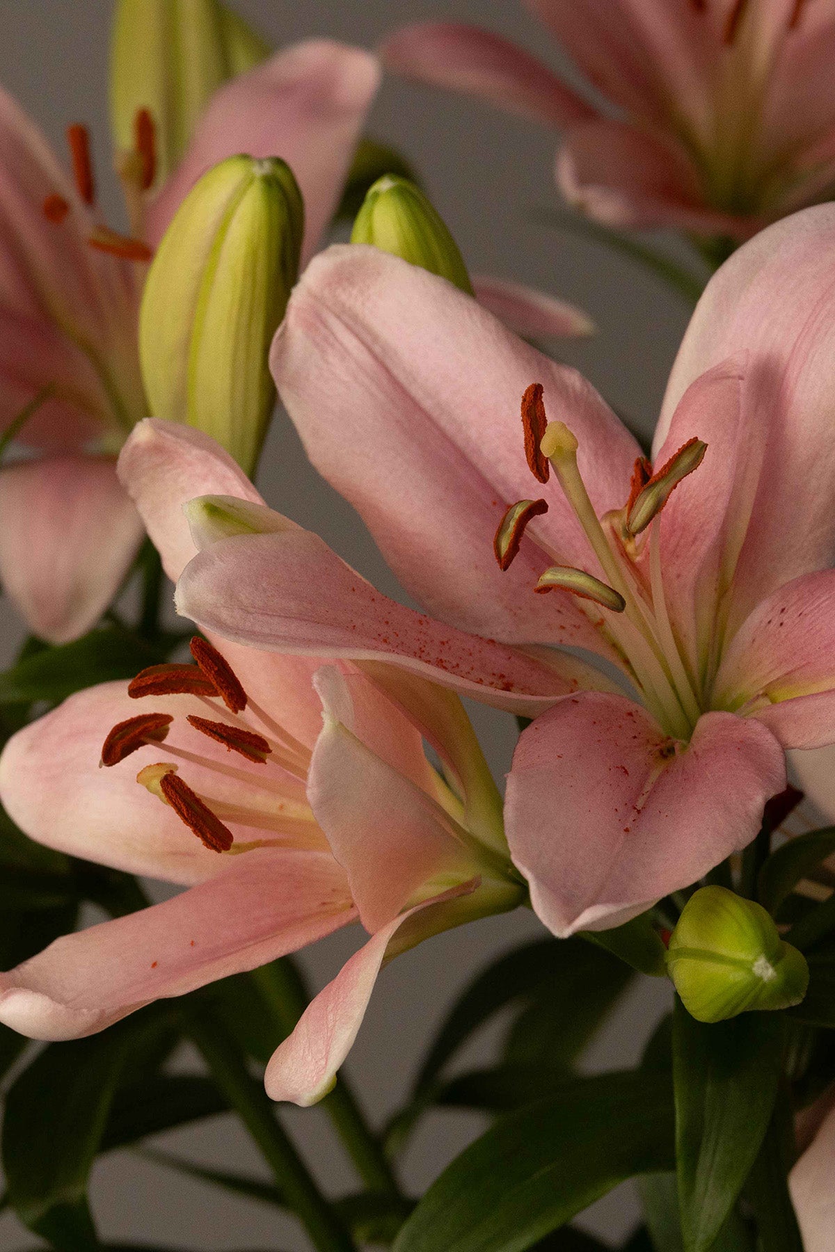 Floristik Workshop @ Seebadmärt Enge