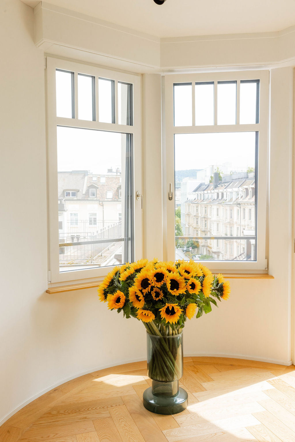 Sonnenblume